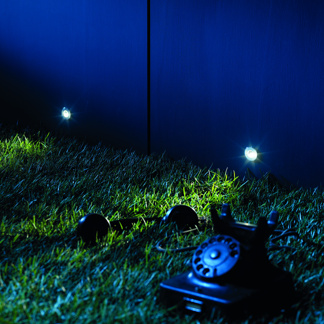 Mood shot image of two Flexalighting Bean LED Recessed Step Lights, illuminating a garden.
