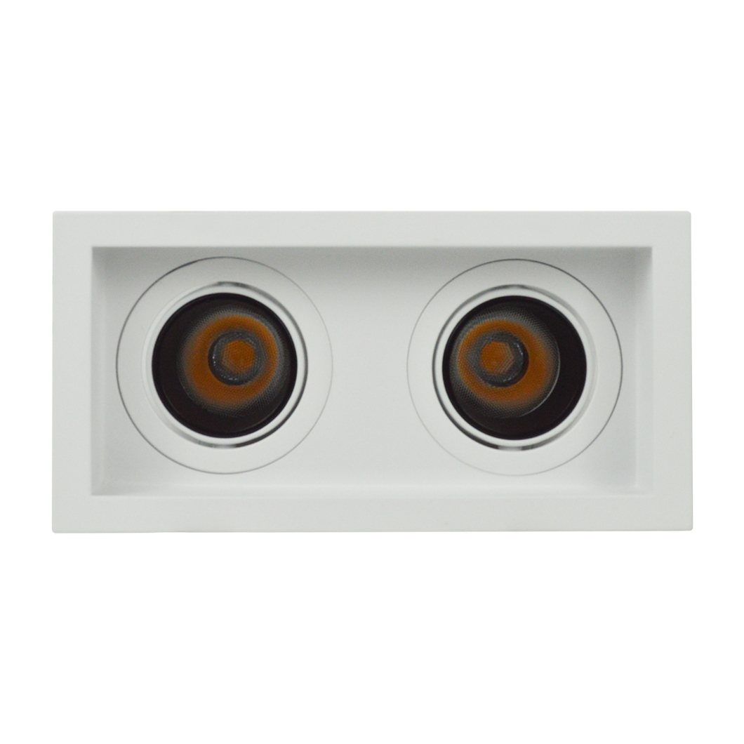 Face on view of DLD Andes 2 True Colour CRI98 recessed adjustable recessed twin downlight on white background