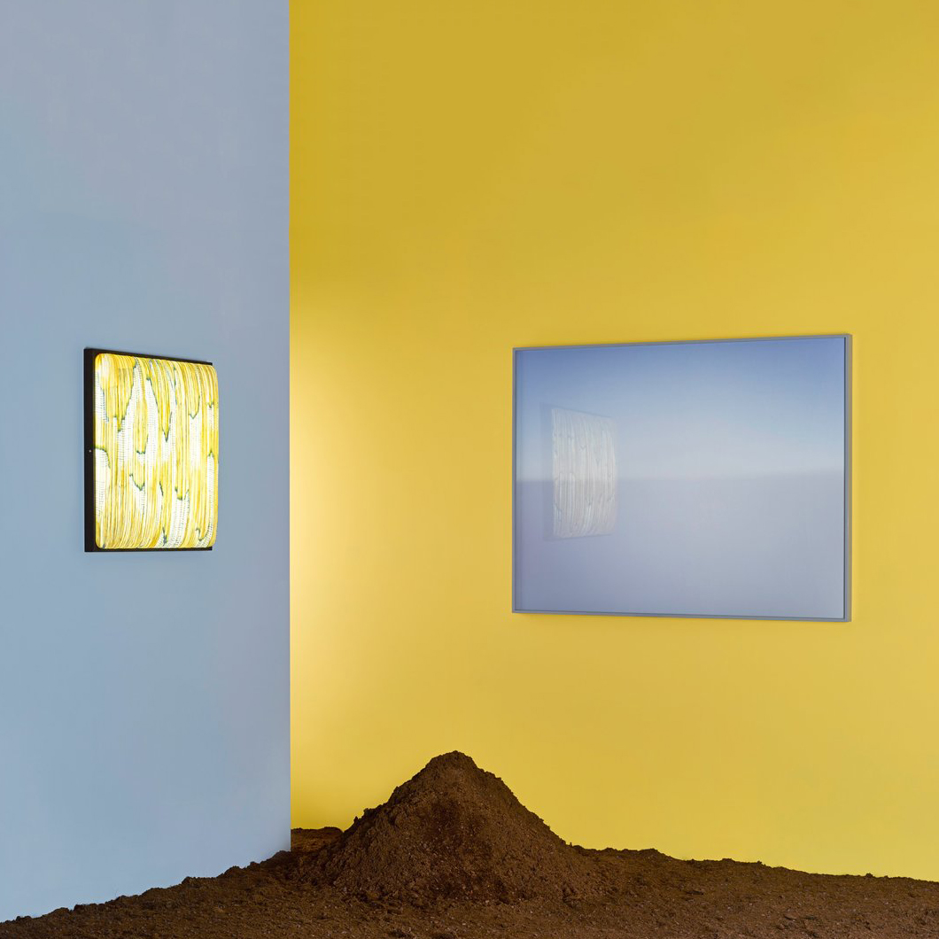 Aqua Creations Mino Simon Says No LED Wall & Ceiling Light| Image:4