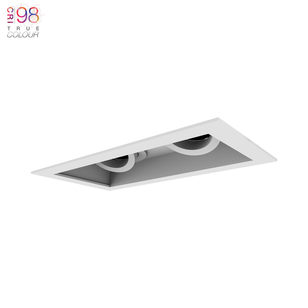 DLD Eiger 2 Recessed with trim Twin Adjustable Downlight installed on white background with TrueColour CRI98 logo