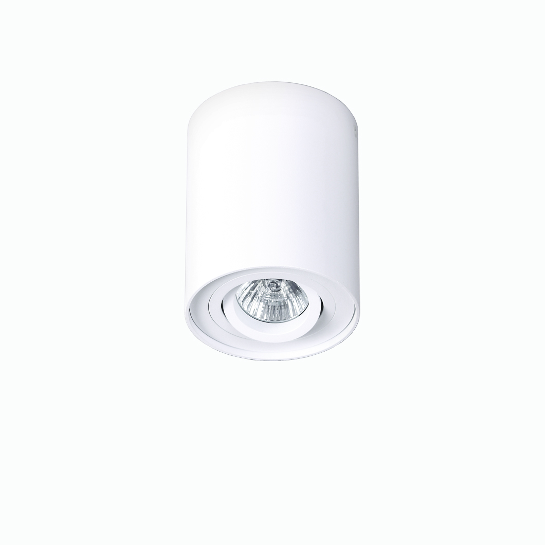 MX Light Basic Round Single Adjustable Ceiling Light - Next Day Delivery| Image:1