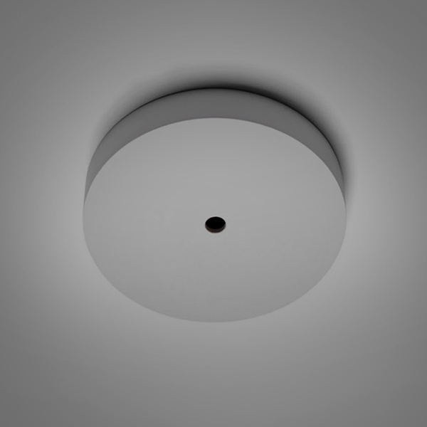 Lamps & Accessories: Architectural minimalist ceiling rose with built-in speaker on grey ceiling