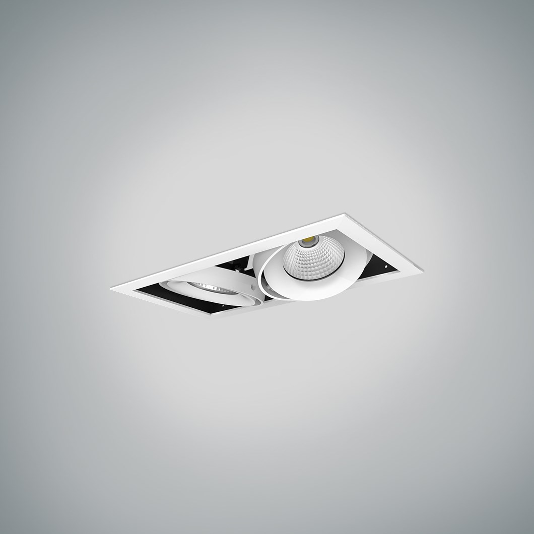 Dld Fuji Double Led Adjule Recessed Downlight Dld Fuji Double Led Adjule Recessed Downlight
