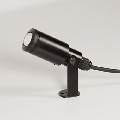 Flexalighting Zoom IP65 Exterior Adjustable Spot Light