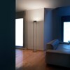 Lumina Opus Floor Lamp| Image:1