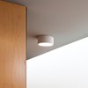 Vibia Plus Cylindrical Exterior Ceiling Light| Image:0