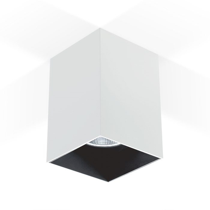 CLEARANCE Darklight Bellona 100 White 20W Surface Mounted Spot Light| Image : 1