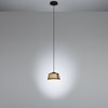 OUTLET Tooy Lily Medium Pendant| Image:2