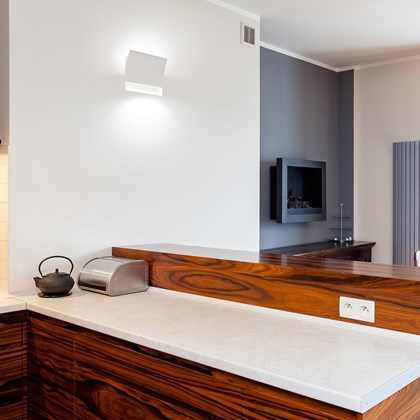 9010 Vele 2402G Plaster In Recessed Wall Light alternative image