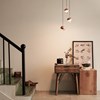 Seed Design Dora LED Brass Pendant - Next Day Delivery| Image:1