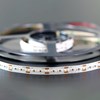 Roll of DLD Lightflow IP66 19.2W dimmable LED Tape