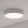 A further shot of the DLD Curve Ceiling Light, against a white ceiling and wall.