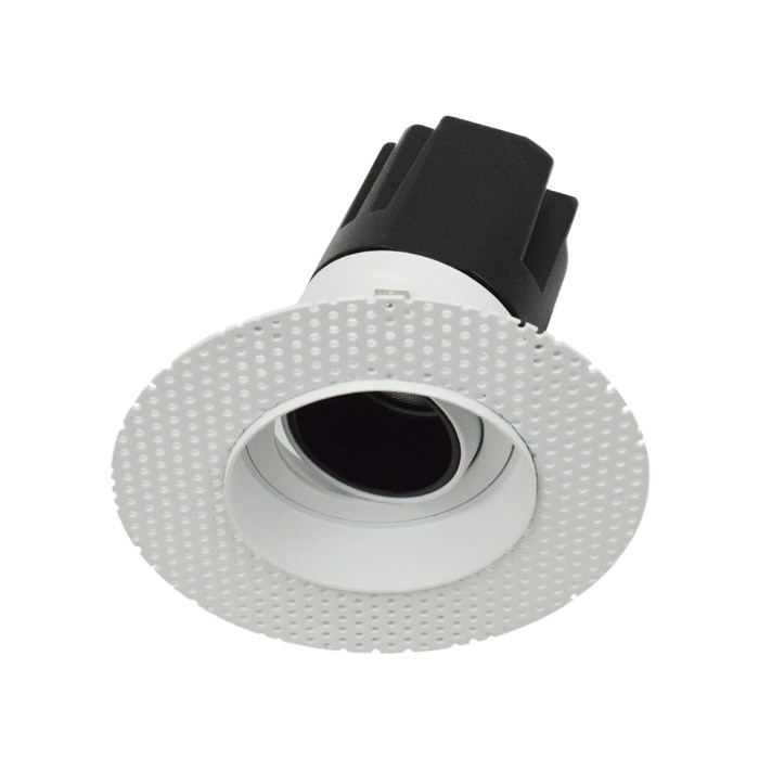 DLD Andes 1-R True Colour CRI98 plaster-in adjustable recessed downlight showing round plaster kit with tilted light engine on white background