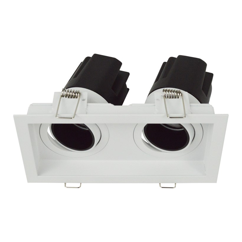 DLD Andes 2 True Colour CRI98 recessed adjustable recessed twin downlight with tilted light engines on white background