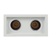 Face on view of DLD Andes 2 True Colour CRI98 recessed adjustable recessed twin downlight on white background