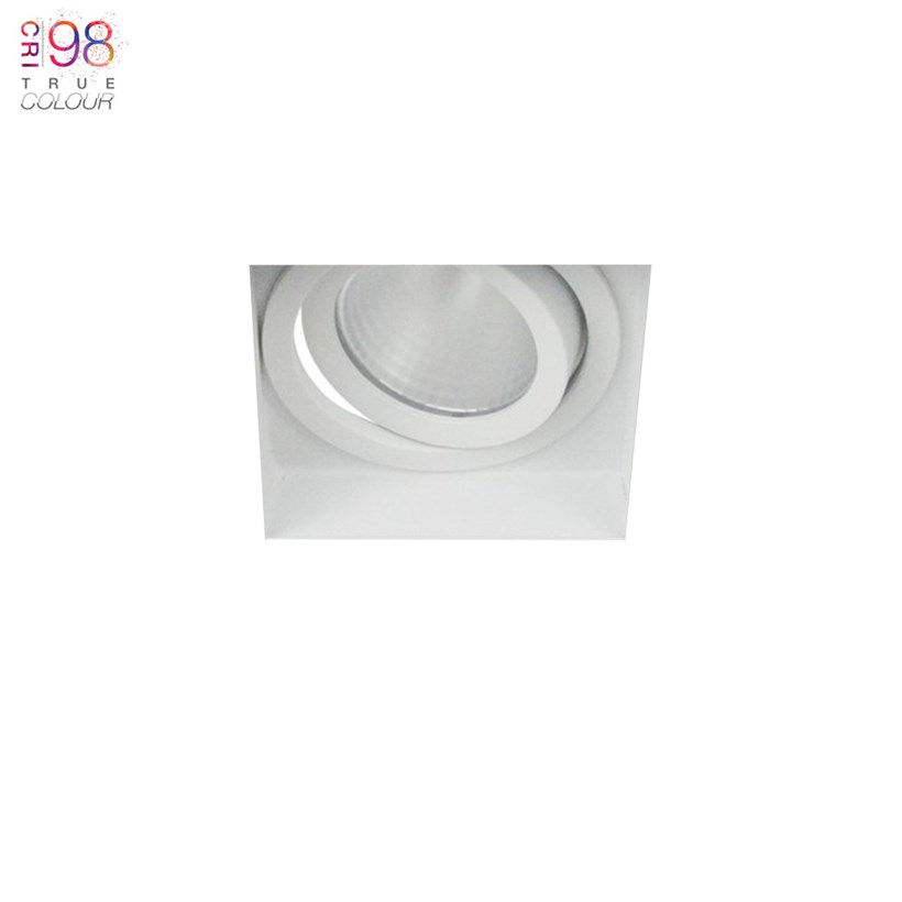 Adjustable light with plaster in fixing, great for ceiling mounting in the home