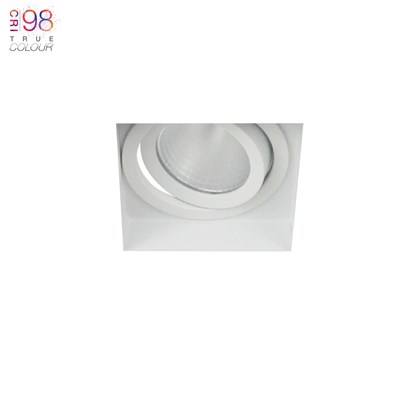 Adjustable light with plaster in fixing, great for ceiling mounting in the home