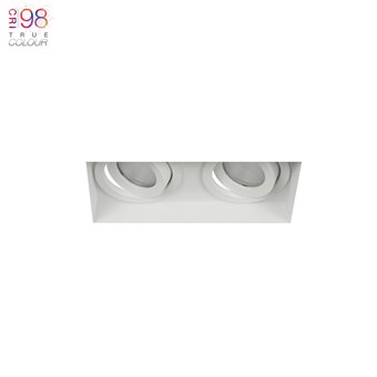 Dual mounted eiger mini, finished in white, fully adjustable, great for home lighting