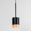 Hanging Pendant light by milan finished in black and wood with a warm soft led glow