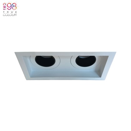 DLD Andes 2 Twin Fixed Recessed Downlight, installed in a white ceiling, with TrueColour CRI98 logo alternative image