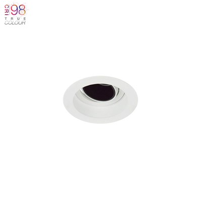 DLD Andes Mini 1-R True Colour CRI98 LED Adjustable Recessed Downlight - Next Day Delivery