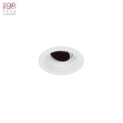 DLD Andes Mini 1-R True Colour CRI98 LED Adjustable Recessed Downlight - Next Day Delivery