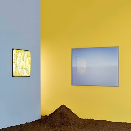 Aqua Creations Mino Simon Says No LED Wall & Ceiling Light alternative image