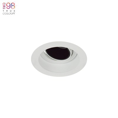 DLD Andes 1 Round Adjustable Recessed Downlight, installed in a white ceiling, with TrueColour CRI98 logo