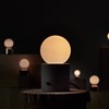 Seed Design Muse Table/Desk Lamp - Next Day Delivery| Image:2