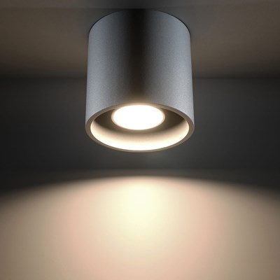 Raw Design Eclipse Ceiling Light