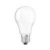 E27 retrofit pear shaped LED lamp bulb on white background