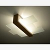 Raw Design Equilibrium Ceiling Light| Image:1