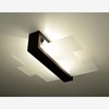 Raw Design Equilibrium Ceiling Light| Image:11