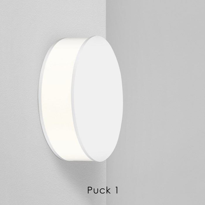 Meraki Puck LED Wall Light| Image:1