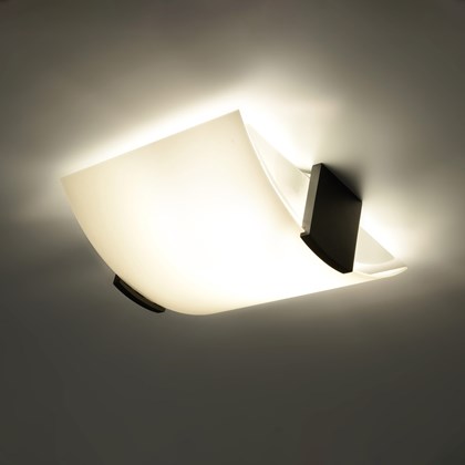 Raw Design Ohio Ceiling Light