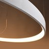 Raw Design Limitless Ring Horizontal LED Pendant| Image:1
