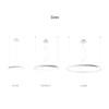Raw Design Limitless Ring Horizontal LED Pendant| Image:3
