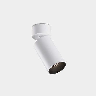 Dub Luce Pointer LED Surface Mounted Spotlight