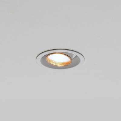 Brick In The Wall 200cent Round Adjustable Trim Plaster In Recessed Downlight
