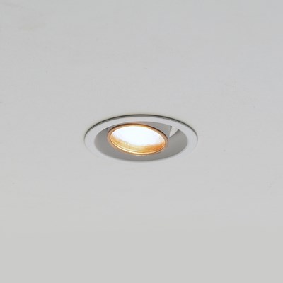 Brick In The Wall 200cent Round Adjustable Trim Plaster In Recessed Downlight