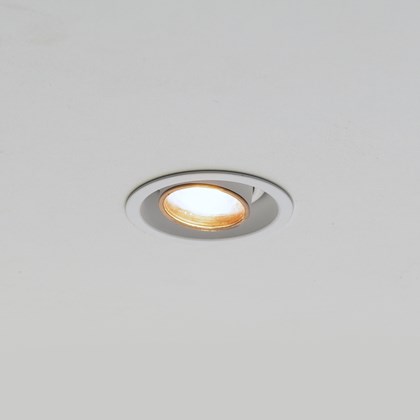 Brick In The Wall 200cent Round Adjustable Trim Plaster In Recessed Downlight