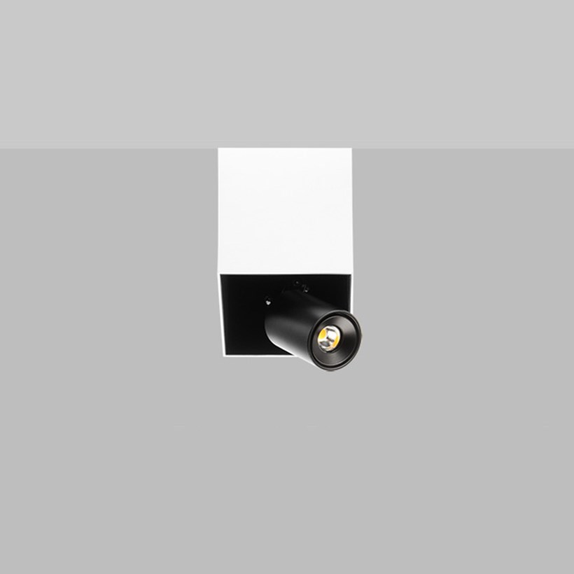 Flexalighting Swan 10 LED Surface Mounted Spot Light| Image : 1