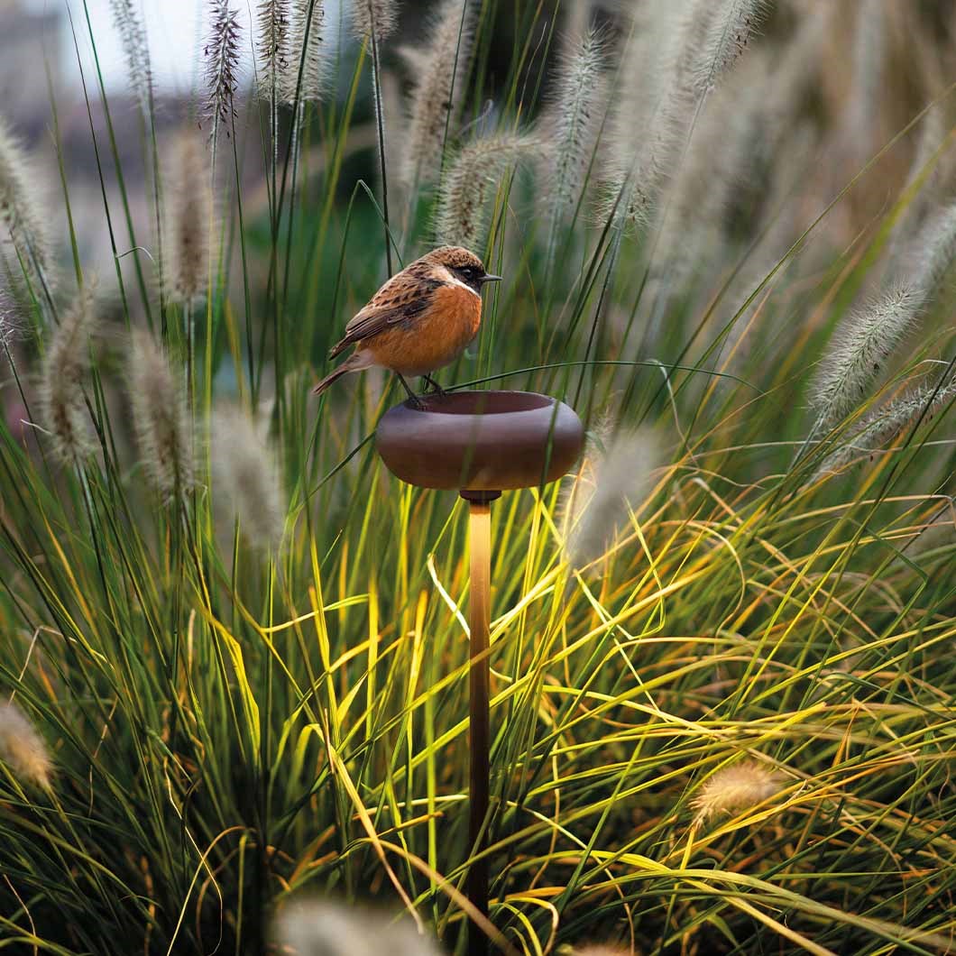 A closer look at Led Lighting For Bird Habitats Designs