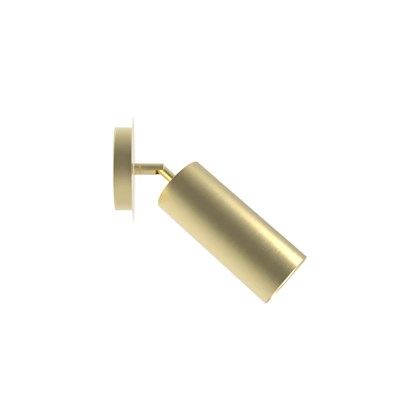 Robin R-Basics Zila Wall & Ceiling Light