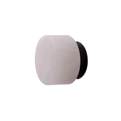 Robin Rock Wall & Ceiling Light