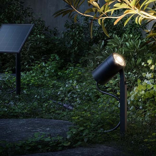 Solar powered black spike spot light lighting a shrub at night 
