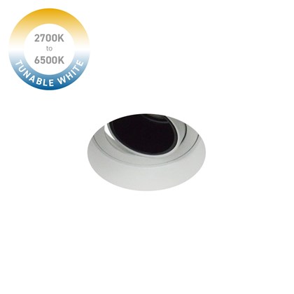 DLD Andes 1-R Tunable White 2700K-6500K LED Adjustable Plaster In Downlight