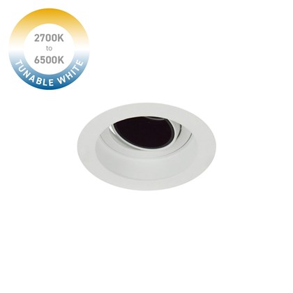 DLD Andes 1-R Tunable White 2700K-6500K LED Adjustable Recessed Downlight