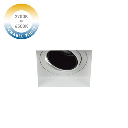 DLD Andes 1-S Tunable White 2700K-6500K LED Adjustable Plaster In Downlight