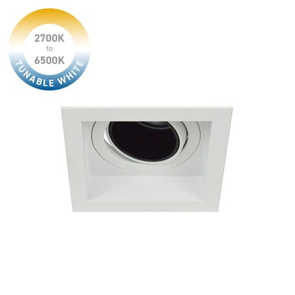 DLD Andes 1-S Tunable White 2700K-6500K LED Adjustable Recessed Downlight
